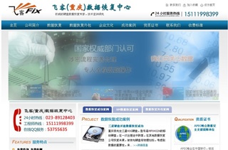 重庆飞客数据恢复公司网站案例